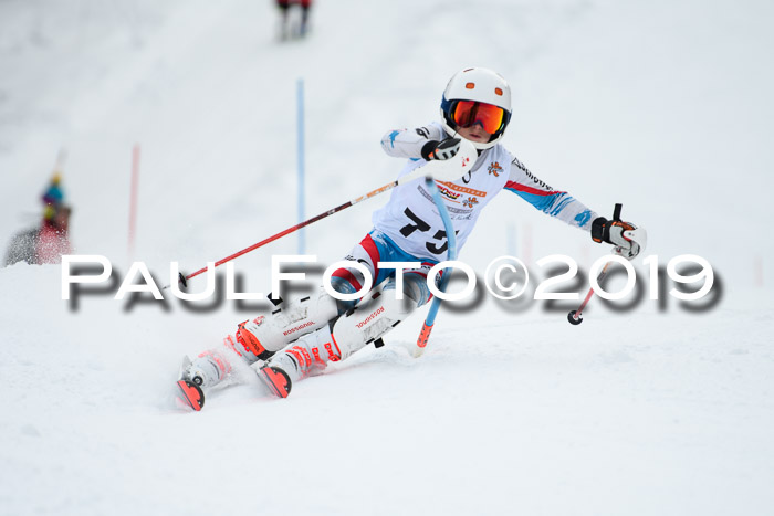 DSV Dt. Schülercup U14 SL 20.01.2019 Slalom