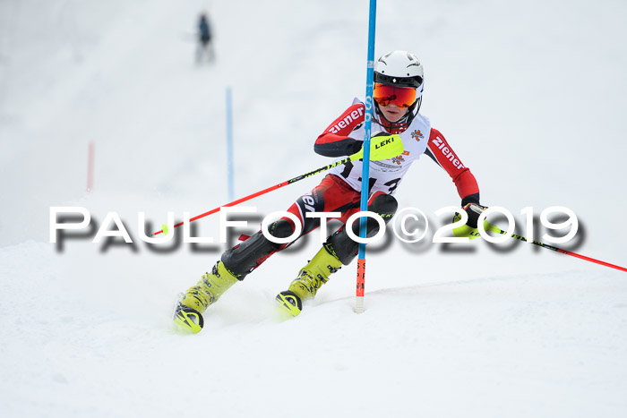 DSV Dt. Schülercup U14 SL 20.01.2019 Slalom