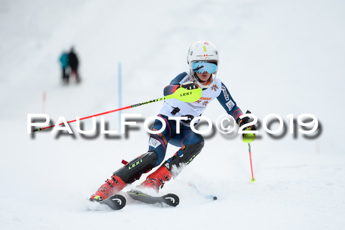 DSV Dt. Schülercup U14 SL 20.01.2019 Slalom