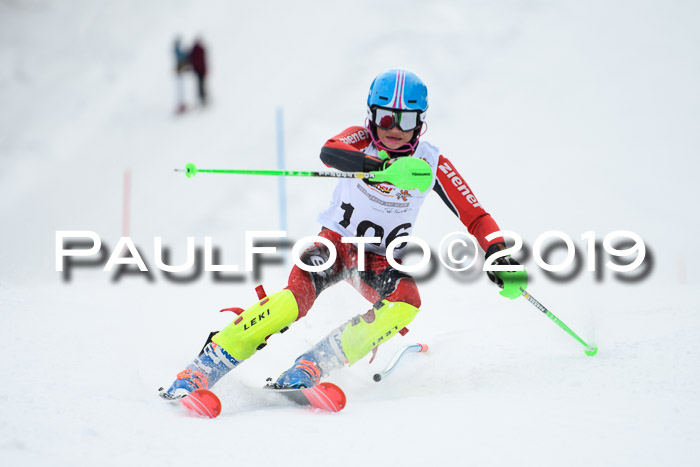 DSV Dt. Schülercup U14 SL 20.01.2019 Slalom