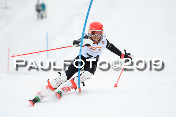 DSV Dt. Schülercup U14 SL 20.01.2019 Slalom