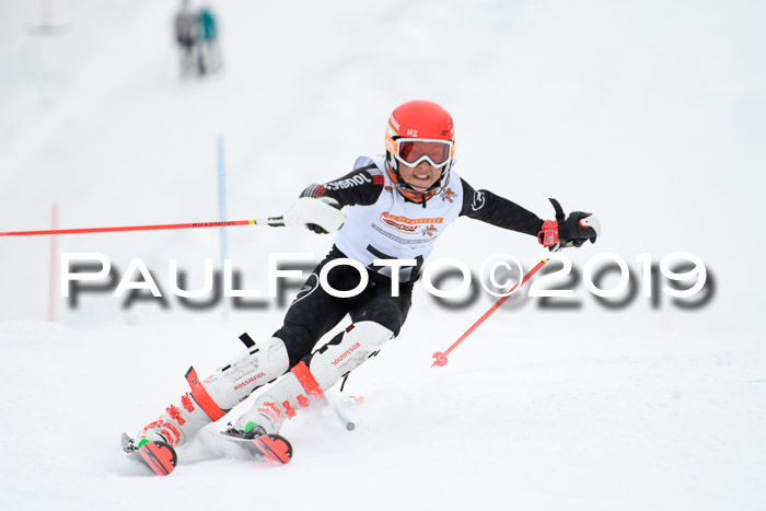 DSV Dt. Schülercup U14 SL 20.01.2019 Slalom