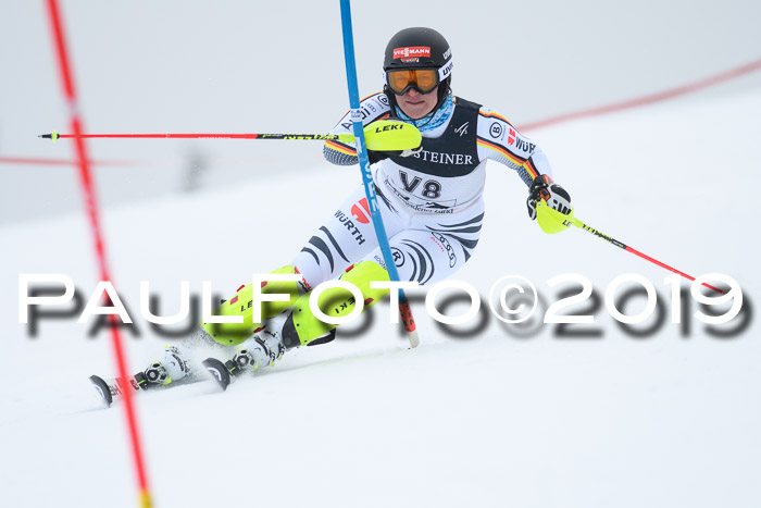 Int. FIS Rennen + NJC  AC Herren, FIS SG, Götschen, 25.01.2019