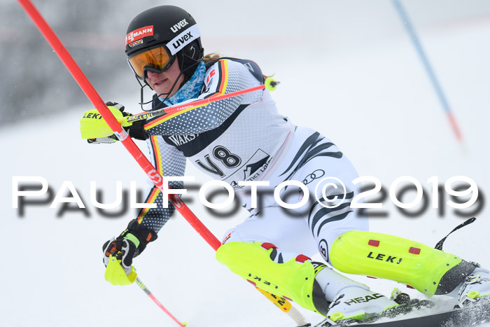 Int. FIS Rennen + NJC  AC Herren, FIS SG, Götschen, 25.01.2019