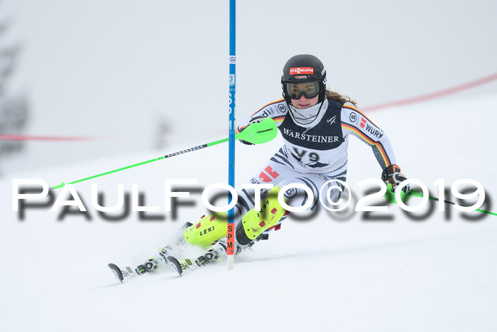 Int. FIS Rennen + NJC  AC Herren, FIS SG, Götschen, 25.01.2019