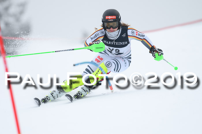 Int. FIS Rennen + NJC  AC Herren, FIS SG, Götschen, 25.01.2019