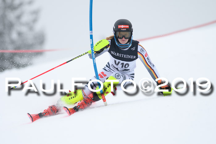 Int. FIS Rennen + NJC  AC Herren, FIS SG, Götschen, 25.01.2019