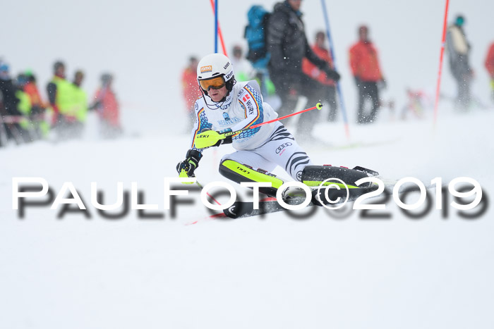 Int. FIS Rennen + NJC  AC Herren, FIS SG, Götschen, 25.01.2019