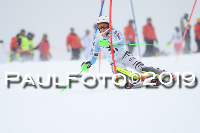 Int. FIS Rennen + NJC  AC Herren, FIS SG, Götschen, 25.01.2019
