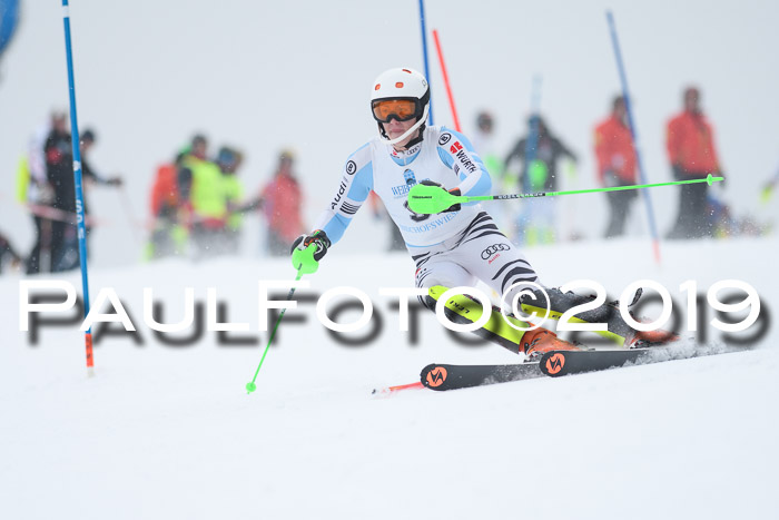 Int. FIS Rennen + NJC  AC Herren, FIS SG, Götschen, 25.01.2019