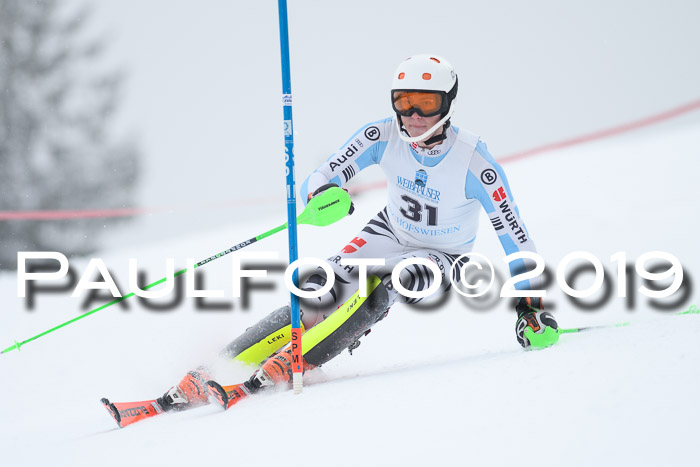 Int. FIS Rennen + NJC  AC Herren, FIS SG, Götschen, 25.01.2019