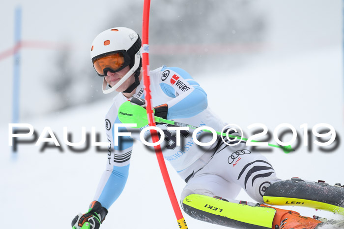 Int. FIS Rennen + NJC  AC Herren, FIS SG, Götschen, 25.01.2019