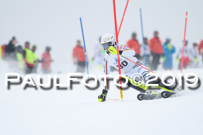 Int. FIS Rennen + NJC  AC Herren, FIS SG, Götschen, 25.01.2019