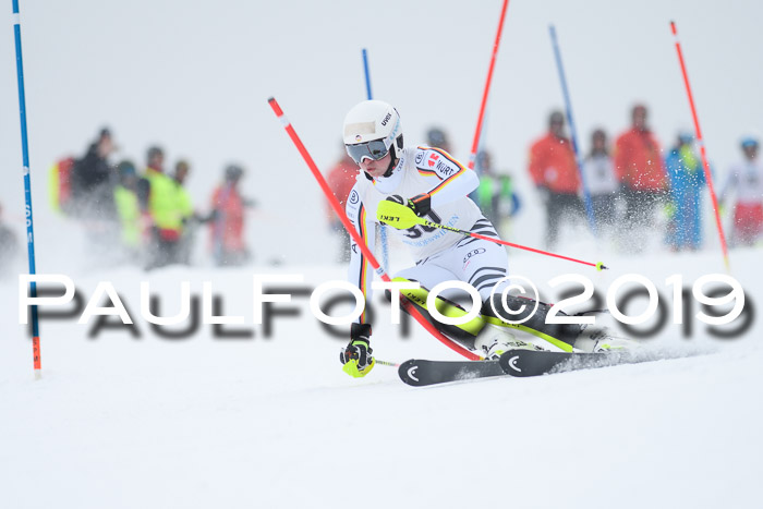 Int. FIS Rennen + NJC  AC Herren, FIS SG, Götschen, 25.01.2019