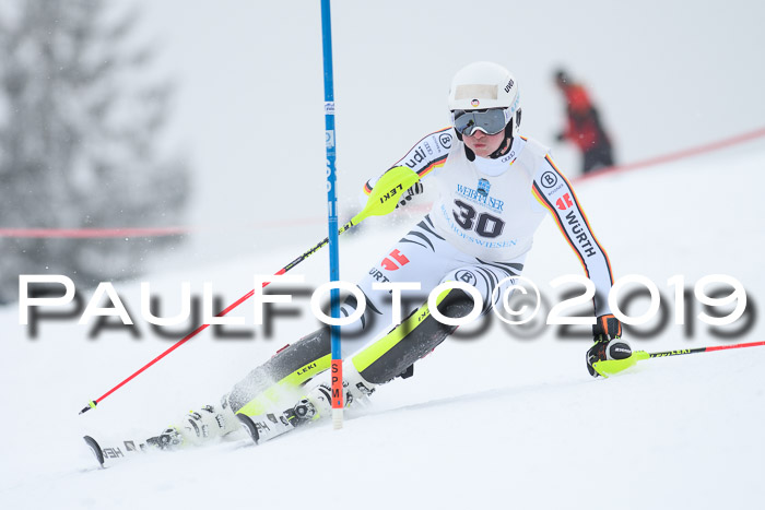 Int. FIS Rennen + NJC  AC Herren, FIS SG, Götschen, 25.01.2019