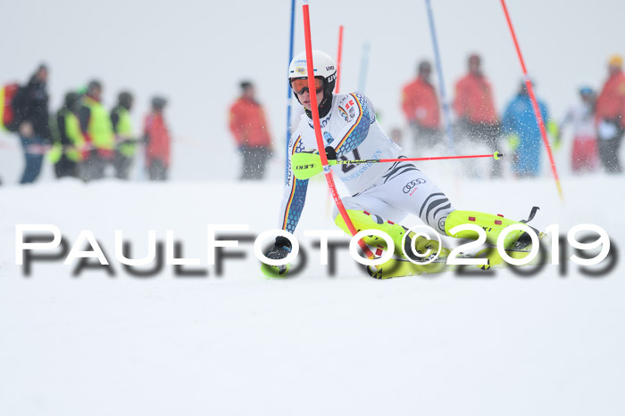 Int. FIS Rennen + NJC  AC Herren, FIS SG, Götschen, 25.01.2019