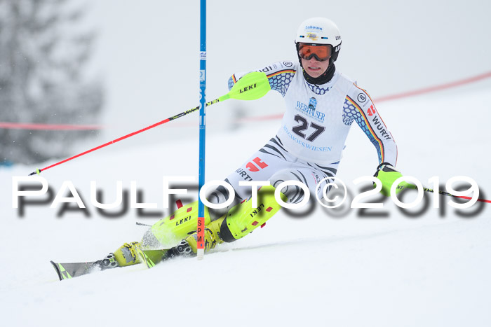 Int. FIS Rennen + NJC  AC Herren, FIS SG, Götschen, 25.01.2019