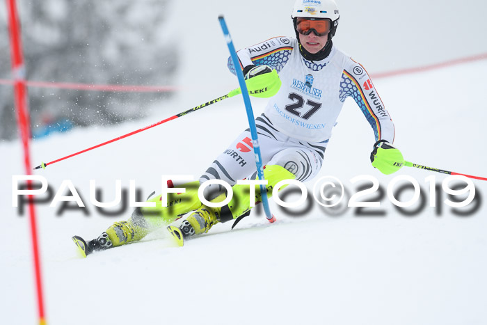 Int. FIS Rennen + NJC  AC Herren, FIS SG, Götschen, 25.01.2019