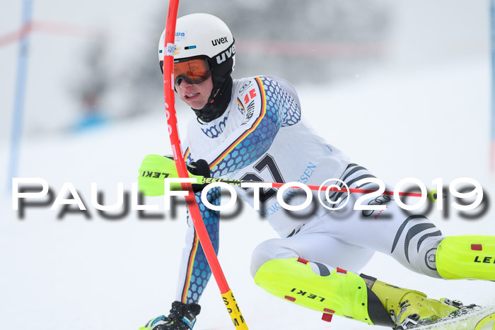 Int. FIS Rennen + NJC  AC Herren, FIS SG, Götschen, 25.01.2019