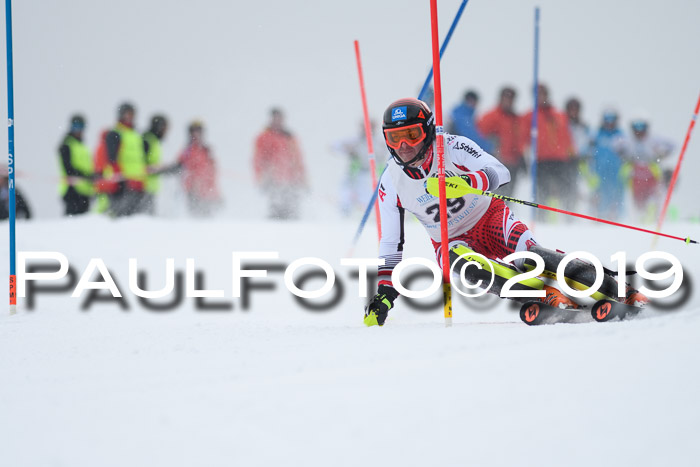 Int. FIS Rennen + NJC  AC Herren, FIS SG, Götschen, 25.01.2019