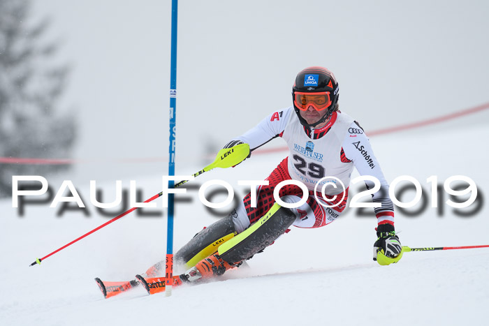 Int. FIS Rennen + NJC  AC Herren, FIS SG, Götschen, 25.01.2019