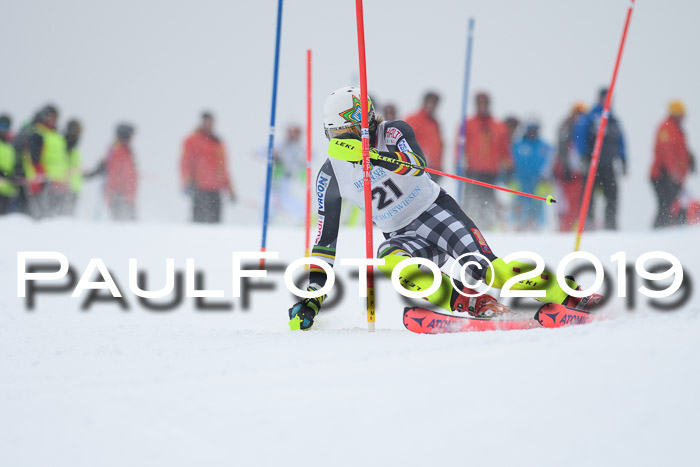 Int. FIS Rennen + NJC  AC Herren, FIS SG, Götschen, 25.01.2019