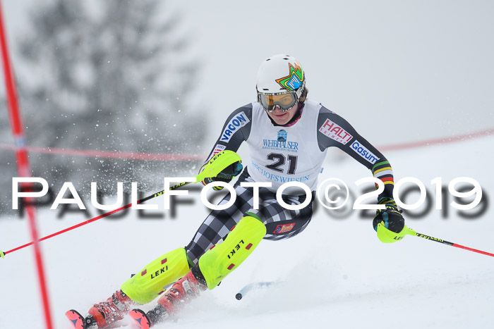 Int. FIS Rennen + NJC  AC Herren, FIS SG, Götschen, 25.01.2019