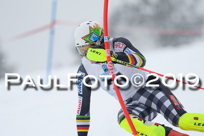 Int. FIS Rennen + NJC  AC Herren, FIS SG, Götschen, 25.01.2019