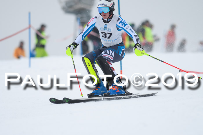 Int. FIS Rennen + NJC  AC Herren, FIS SG, Götschen, 25.01.2019