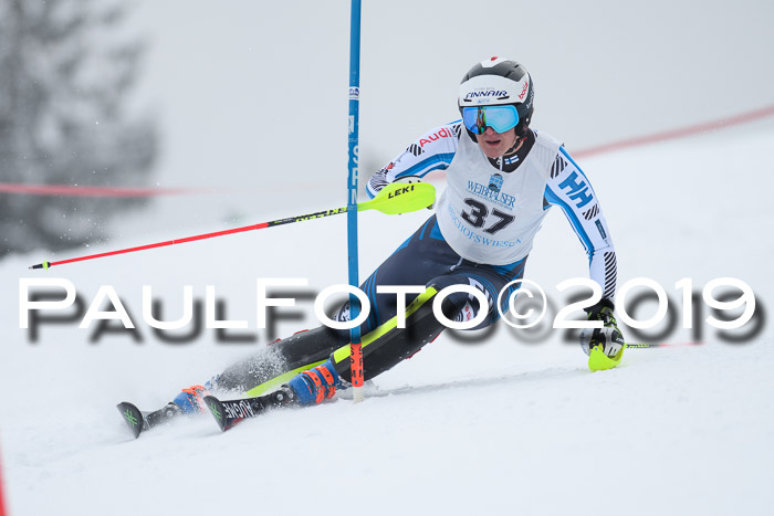 Int. FIS Rennen + NJC  AC Herren, FIS SG, Götschen, 25.01.2019