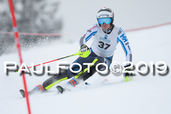 Int. FIS Rennen + NJC  AC Herren, FIS SG, Götschen, 25.01.2019