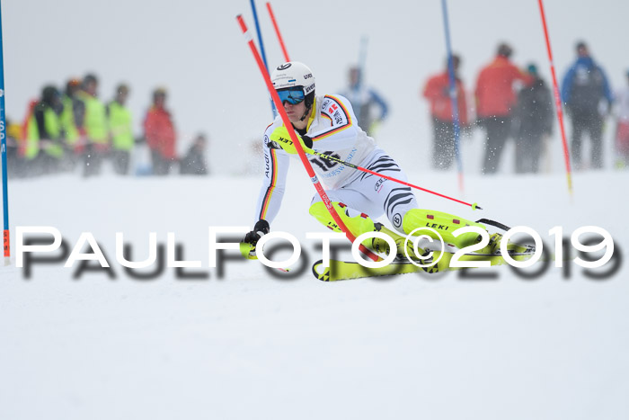 Int. FIS Rennen + NJC  AC Herren, FIS SG, Götschen, 25.01.2019