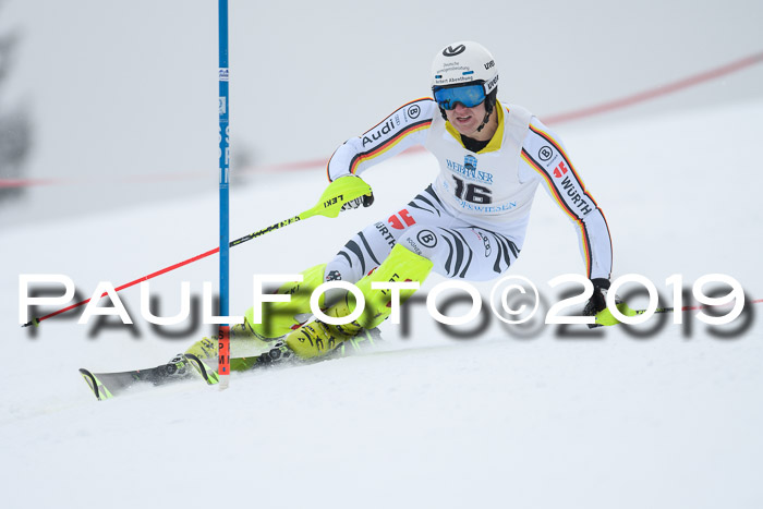 Int. FIS Rennen + NJC  AC Herren, FIS SG, Götschen, 25.01.2019