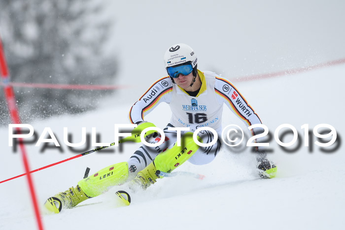 Int. FIS Rennen + NJC  AC Herren, FIS SG, Götschen, 25.01.2019