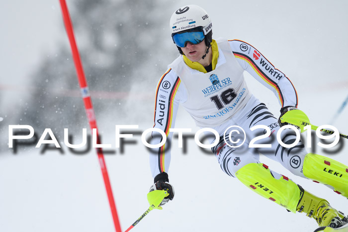Int. FIS Rennen + NJC  AC Herren, FIS SG, Götschen, 25.01.2019