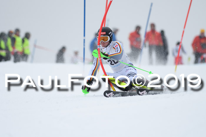 Int. FIS Rennen + NJC  AC Herren, FIS SG, Götschen, 25.01.2019