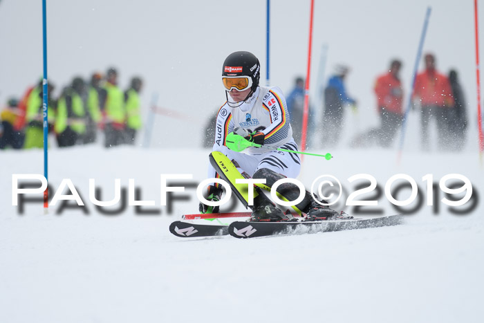 Int. FIS Rennen + NJC  AC Herren, FIS SG, Götschen, 25.01.2019