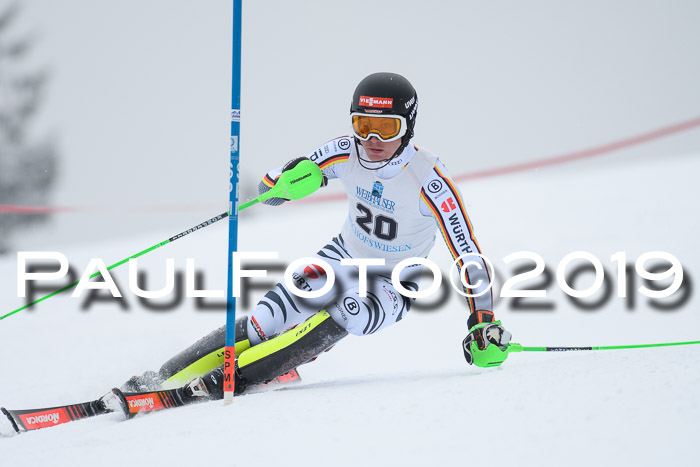 Int. FIS Rennen + NJC  AC Herren, FIS SG, Götschen, 25.01.2019