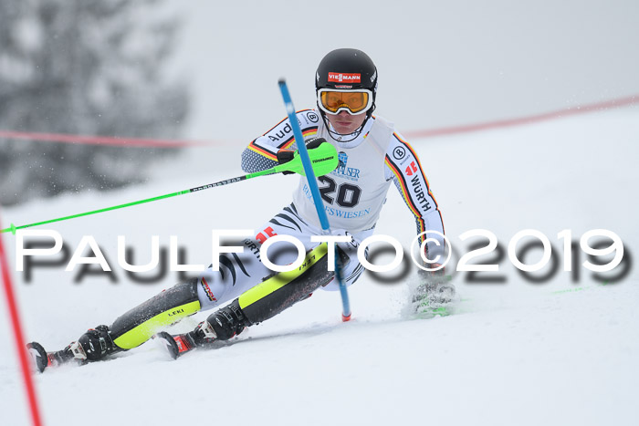 Int. FIS Rennen + NJC  AC Herren, FIS SG, Götschen, 25.01.2019