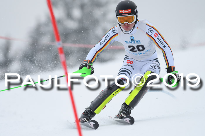 Int. FIS Rennen + NJC  AC Herren, FIS SG, Götschen, 25.01.2019
