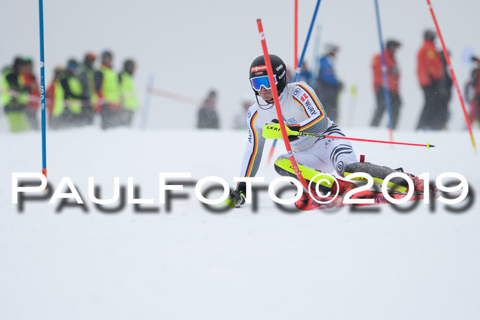 Int. FIS Rennen + NJC  AC Herren, FIS SG, Götschen, 25.01.2019