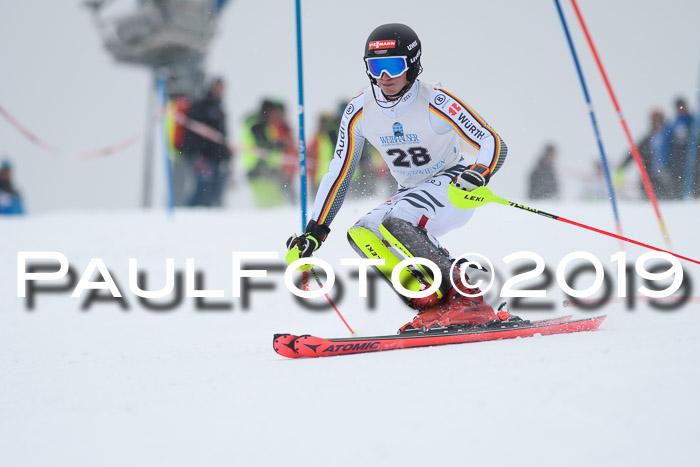 Int. FIS Rennen + NJC  AC Herren, FIS SG, Götschen, 25.01.2019