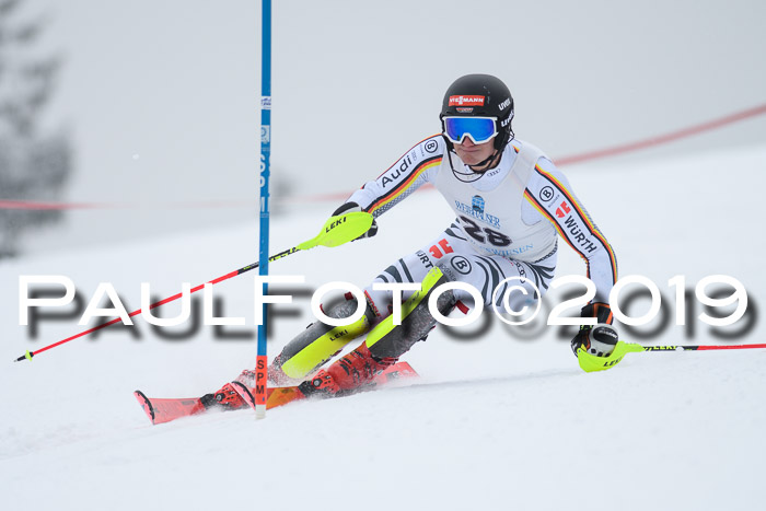 Int. FIS Rennen + NJC  AC Herren, FIS SG, Götschen, 25.01.2019
