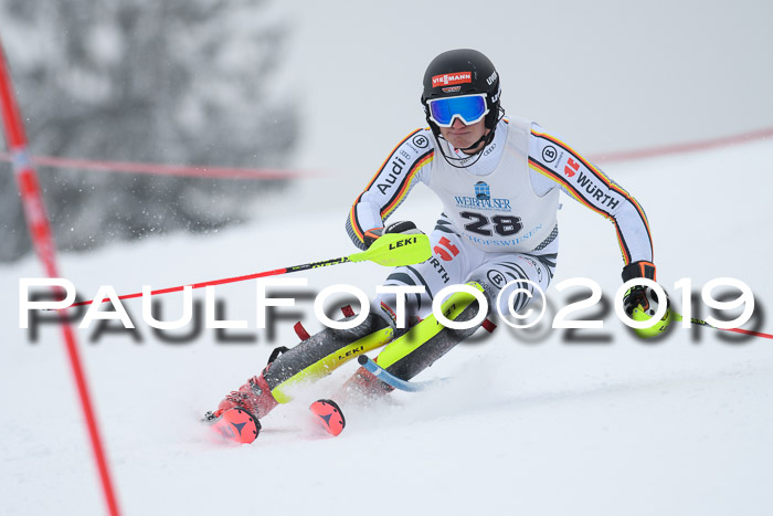 Int. FIS Rennen + NJC  AC Herren, FIS SG, Götschen, 25.01.2019