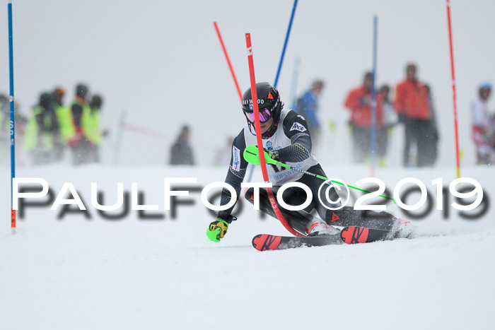 Int. FIS Rennen + NJC  AC Herren, FIS SG, Götschen, 25.01.2019