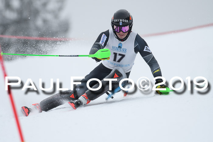 Int. FIS Rennen + NJC  AC Herren, FIS SG, Götschen, 25.01.2019