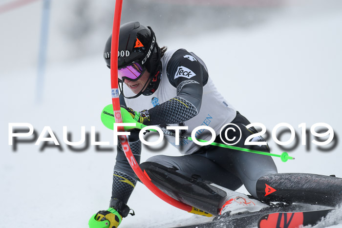 Int. FIS Rennen + NJC  AC Herren, FIS SG, Götschen, 25.01.2019