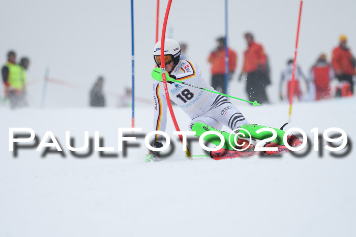 Int. FIS Rennen + NJC  AC Herren, FIS SG, Götschen, 25.01.2019