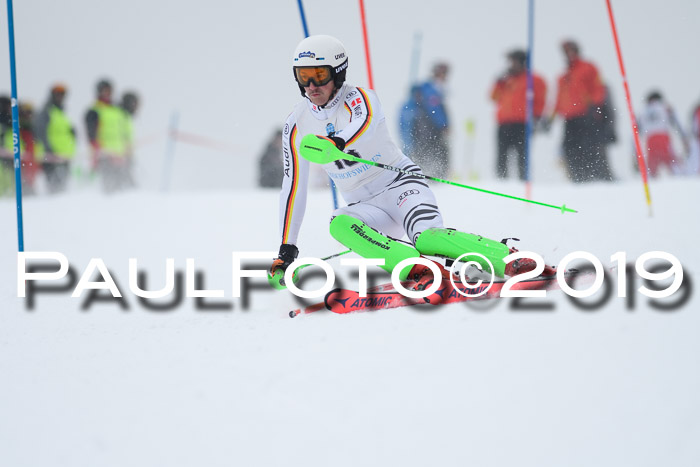 Int. FIS Rennen + NJC  AC Herren, FIS SG, Götschen, 25.01.2019