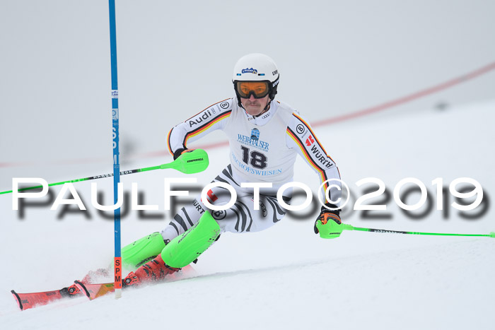 Int. FIS Rennen + NJC  AC Herren, FIS SG, Götschen, 25.01.2019
